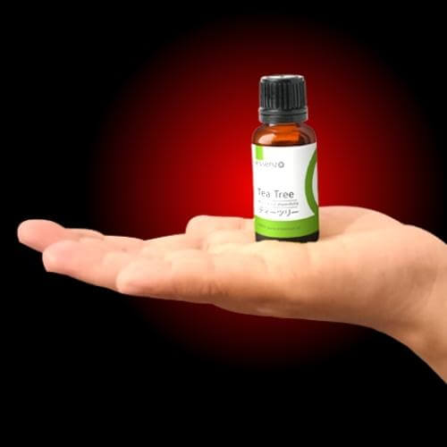 Tea Tree