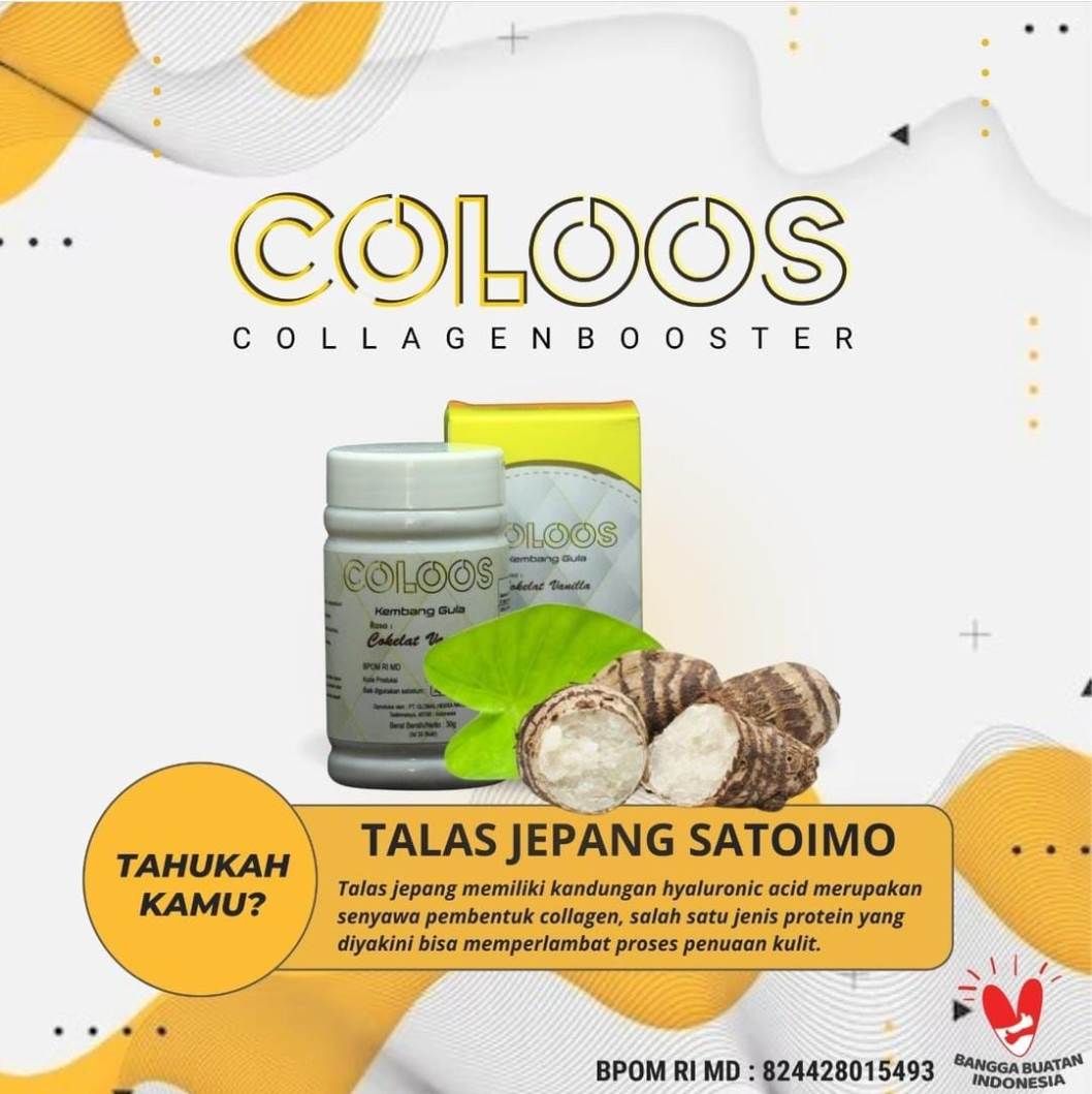 COLOOS Paket-B